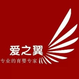 大連產后康復培訓指南 課程、選擇與機構推薦